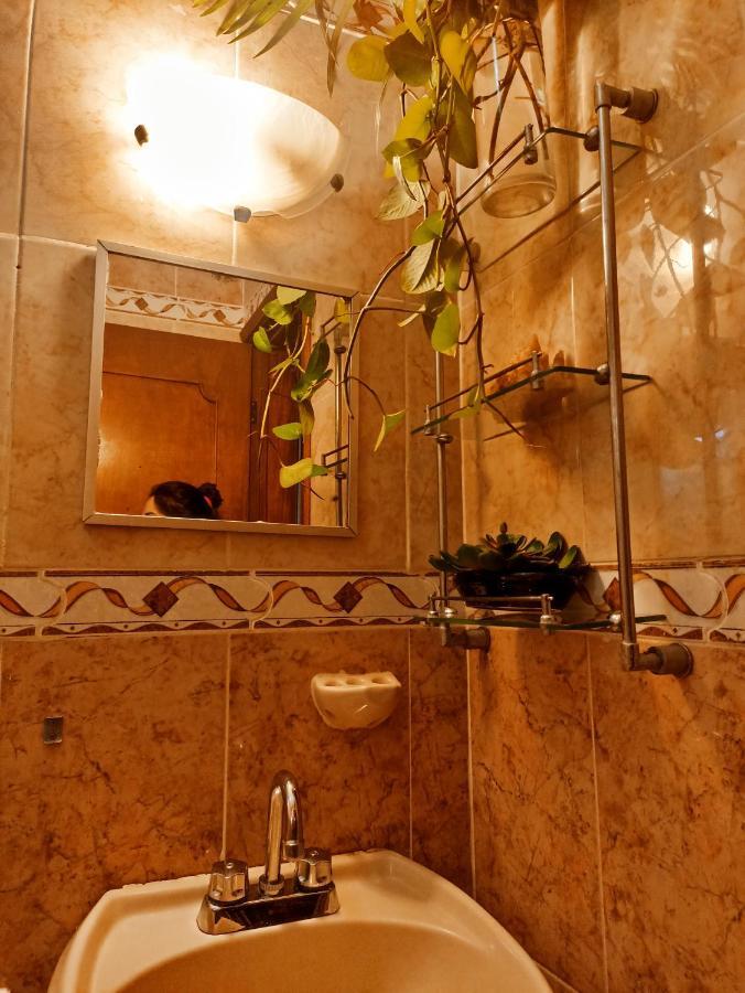 Casa De Los Pajaros - B&B Valladolid  Bagian luar foto