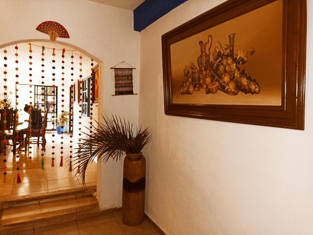 Casa De Los Pajaros - B&B Valladolid  Bagian luar foto