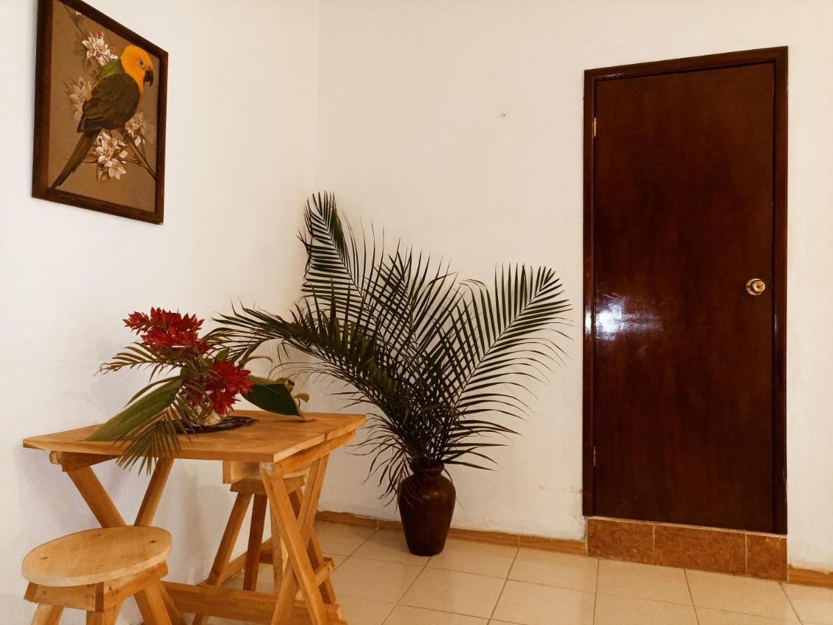 Casa De Los Pajaros - B&B Valladolid  Bagian luar foto