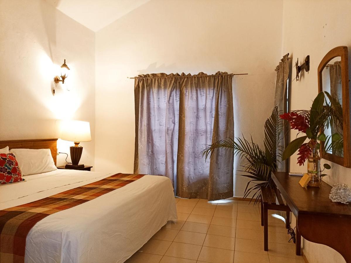 Casa De Los Pajaros - B&B Valladolid  Bagian luar foto