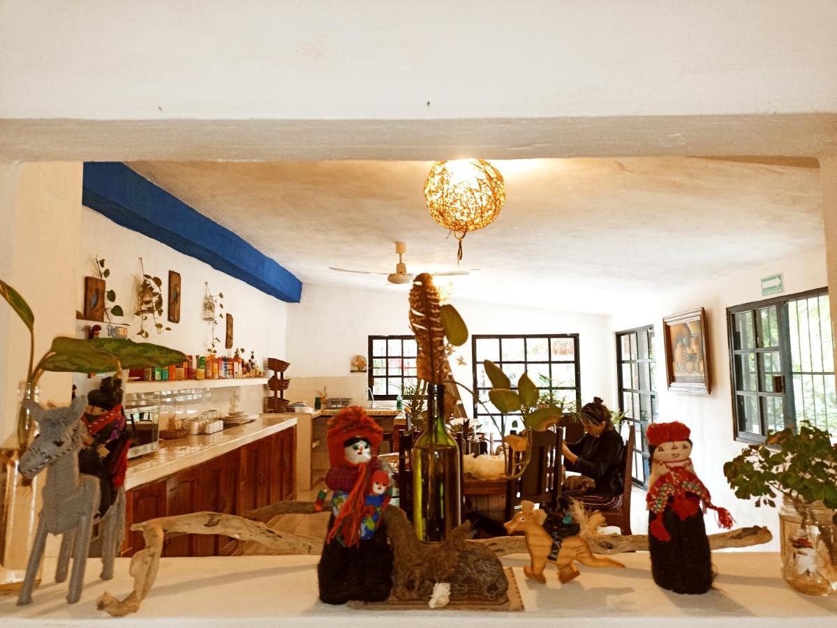 Casa De Los Pajaros - B&B Valladolid  Bagian luar foto