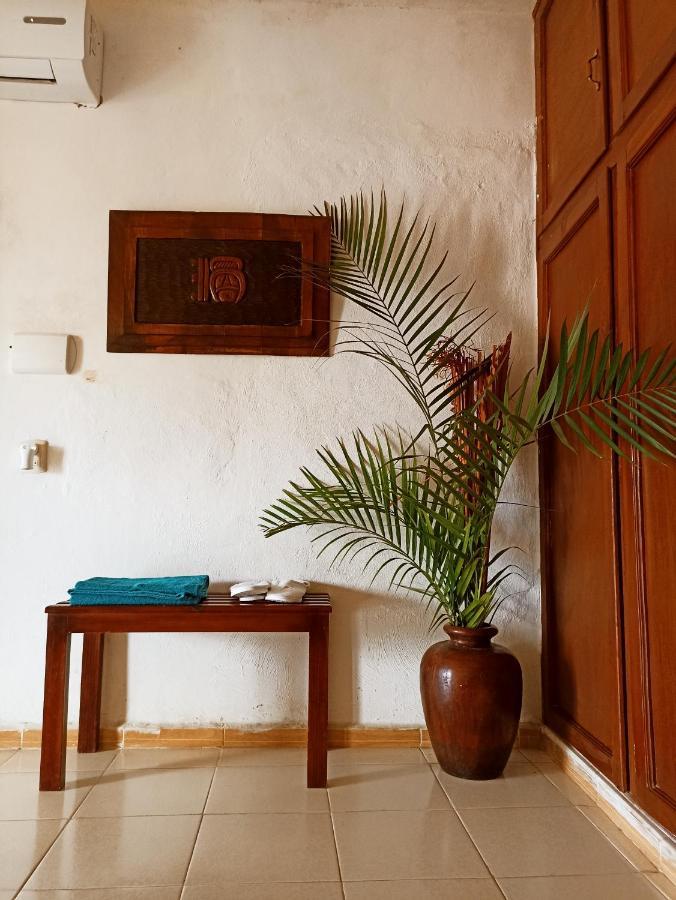 Casa De Los Pajaros - B&B Valladolid  Bagian luar foto