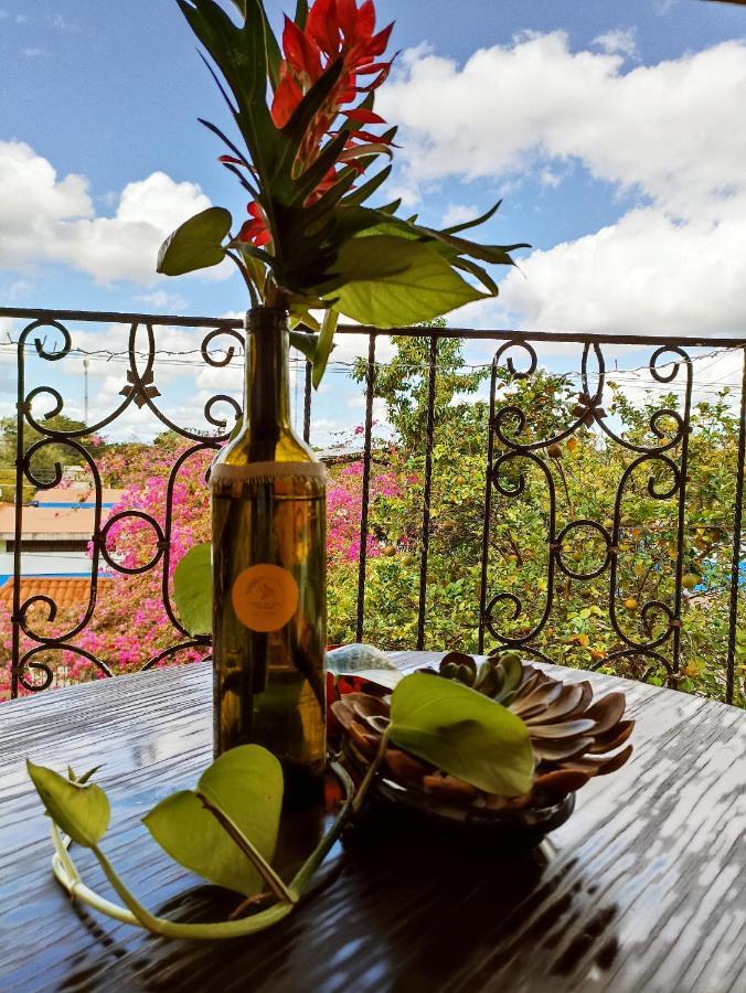 Casa De Los Pajaros - B&B Valladolid  Bagian luar foto
