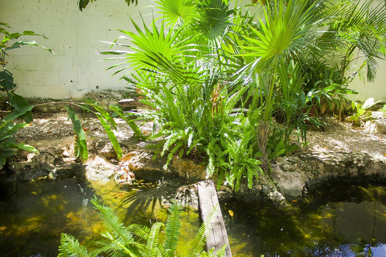 Casa De Los Pajaros - B&B Valladolid  Bagian luar foto
