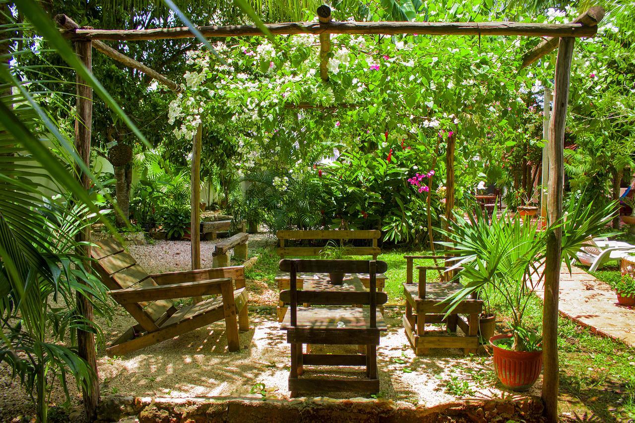 Casa De Los Pajaros - B&B Valladolid  Bagian luar foto