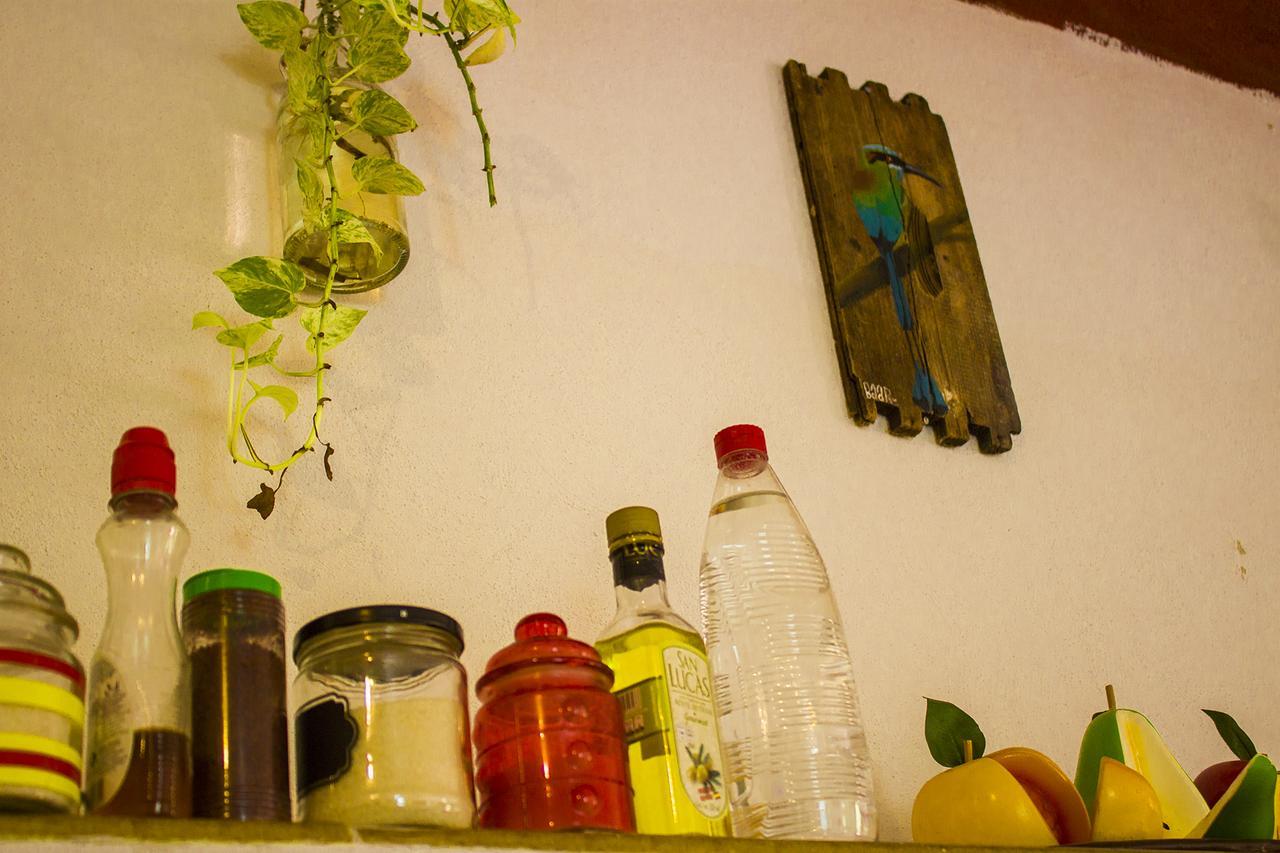 Casa De Los Pajaros - B&B Valladolid  Bagian luar foto