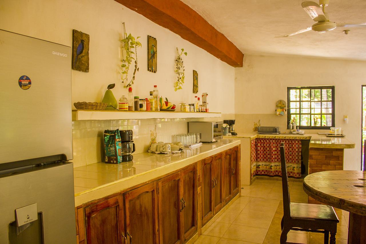 Casa De Los Pajaros - B&B Valladolid  Bagian luar foto